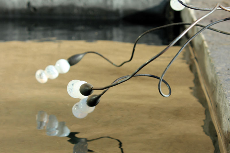 Rabuel Construction - Bassin